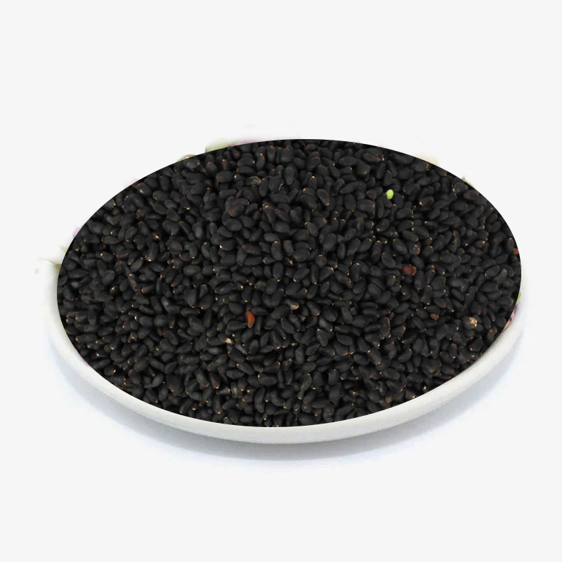 Basil Seeds