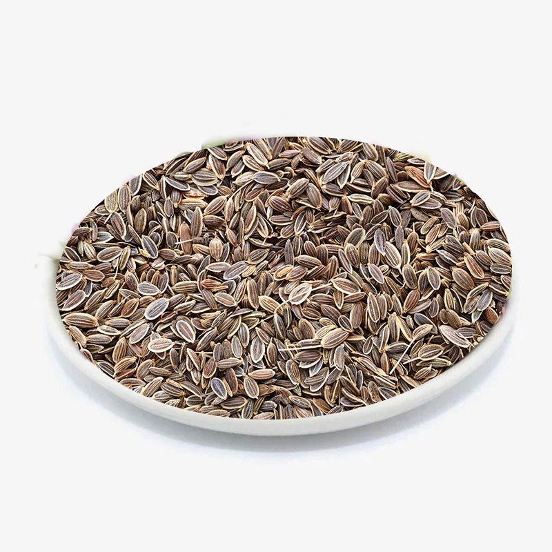 Dill Seeds